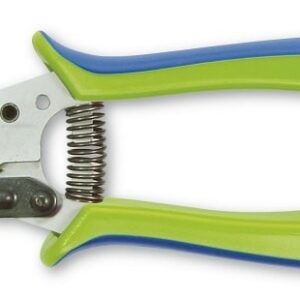 Pruning shears with blue and green handles and a metal cutting head.