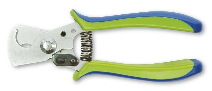 Pruning shears with blue and green handles and a metal cutting head.