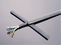 Twisted pair network cable with exposed wires at the cut end.