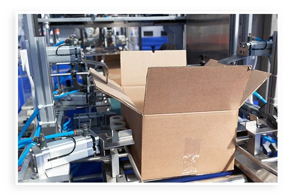 cardboard boxes moving down a factory line