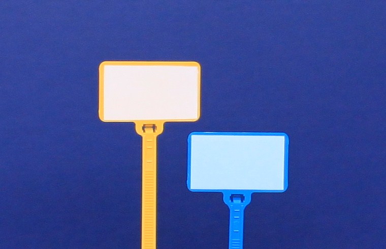 Two blank signs with rounded corners on wooden poles against a blue background.