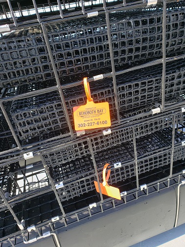 Two flames burn inside metal cages mounted on a building facade.